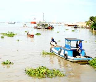 Một đoạn trên sông Đồng Nai.